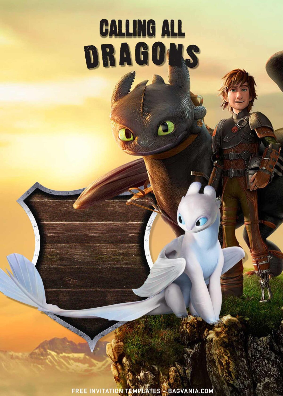 8+ How To Train Your Dragon Birthday Invitation Templates With Hiccup, Toothless and Light Fury