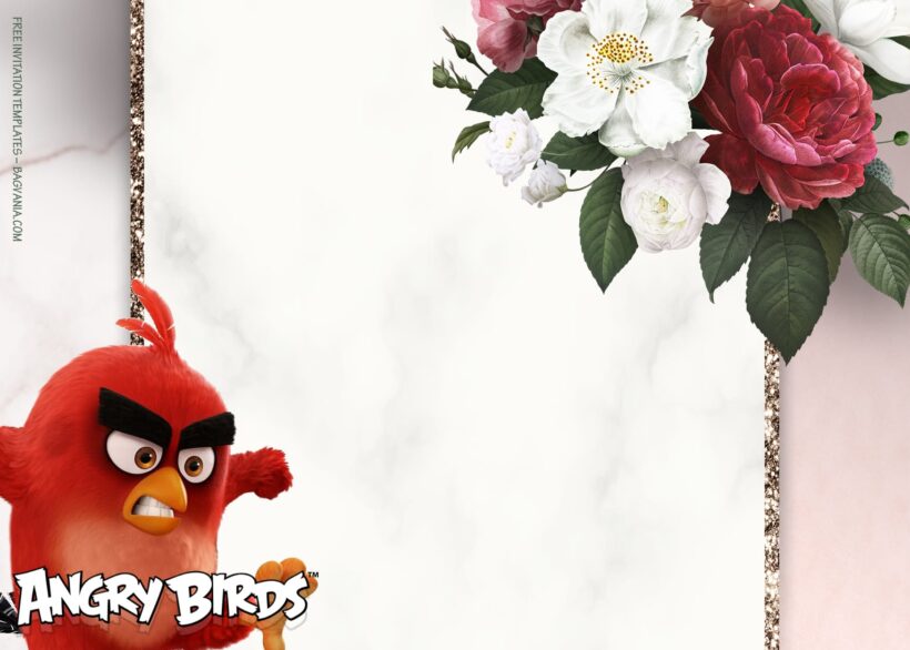 11+ Come Play Fiesta Angry Bird Party Birthday Invitation Templates Type Eight