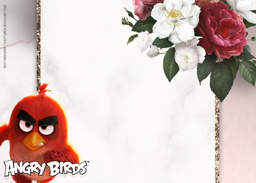 11+ Come Play Fiesta Angry Bird Party Birthday Invitation Templates Type Seven