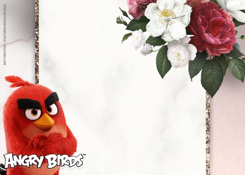 11+ Come Play Fiesta Angry Bird Party Birthday Invitation Templates Type Ten