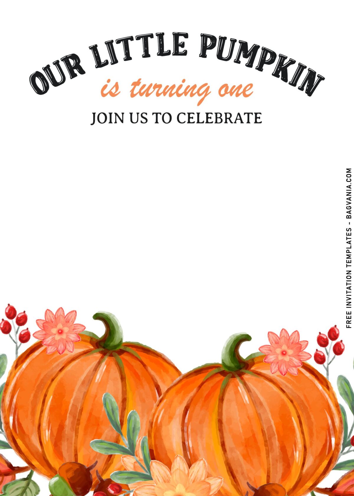 8+ Cute Pumpkin Patch First Birthday Party Invitation Templates with orange teal pumpkins