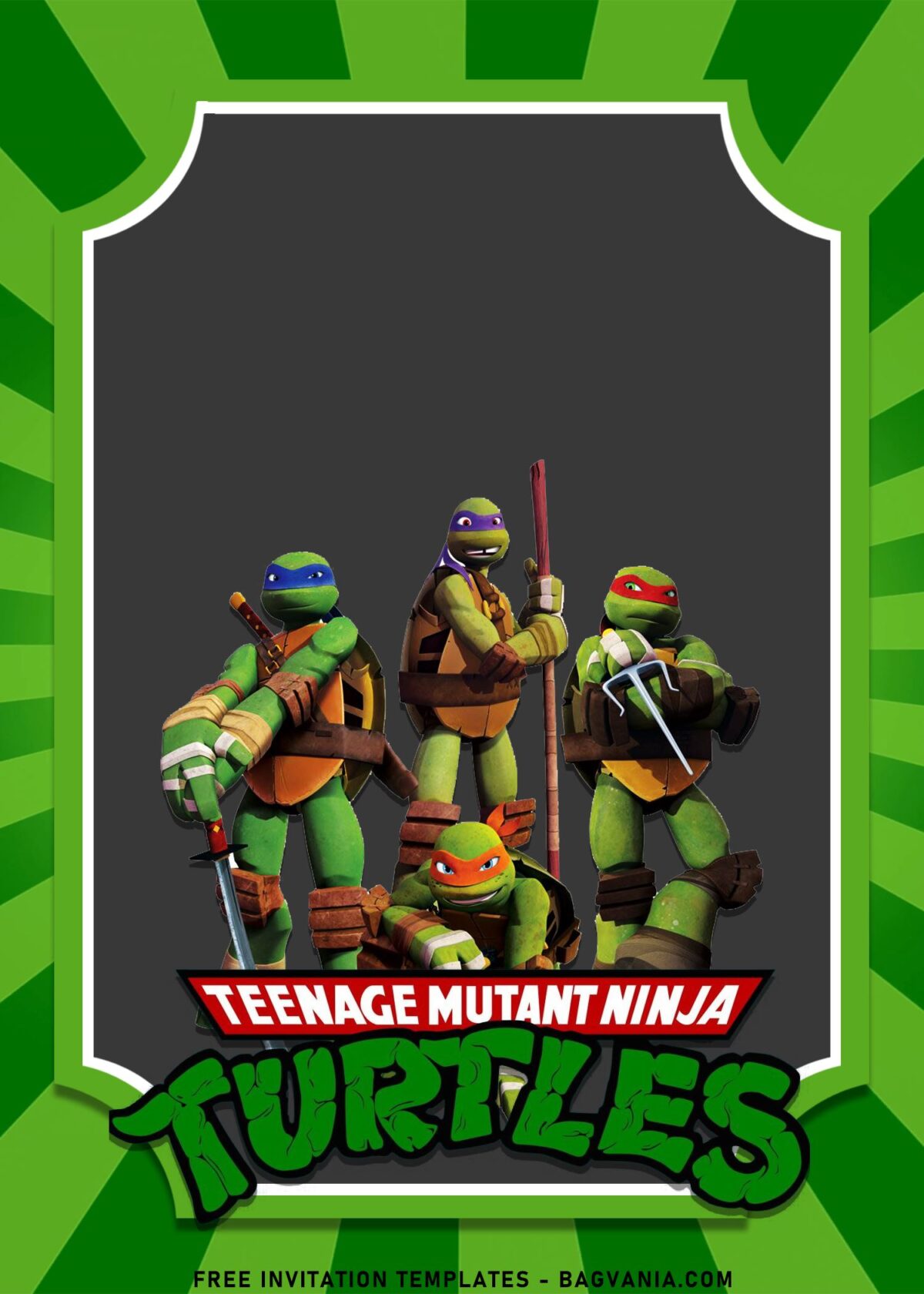 10+ Awesome Teenage Mutant Ninja Turtles Birthday Invitation Templates with Leonardo