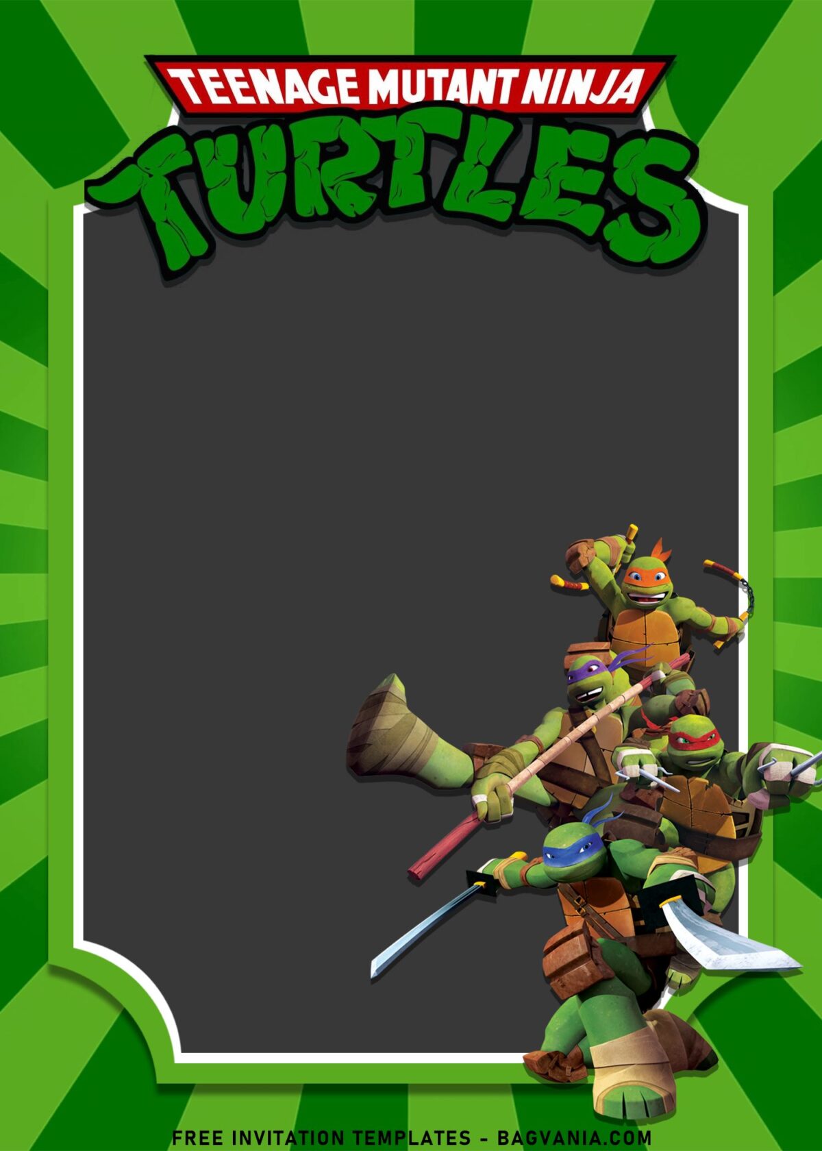 10+ Awesome Teenage Mutant Ninja Turtles Birthday Invitation Templates with Raphael