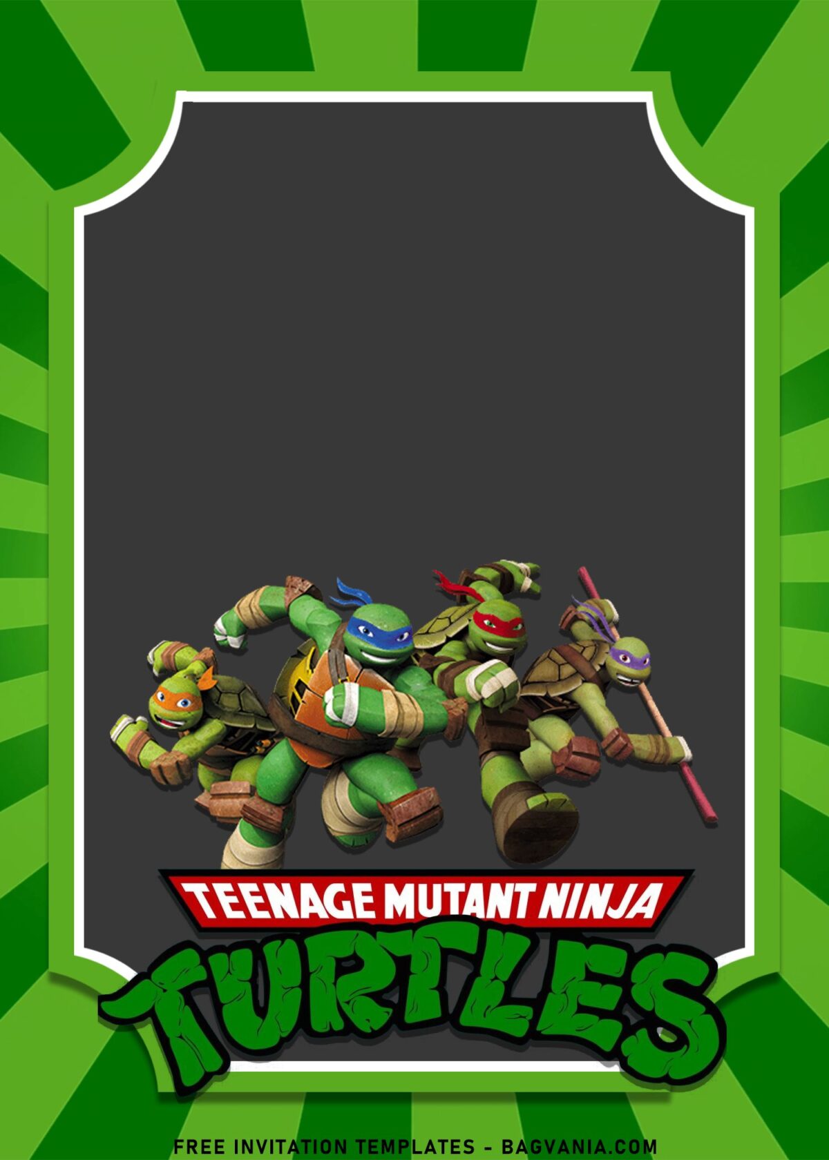 10+ Awesome Teenage Mutant Ninja Turtles Birthday Invitation Templates with Raphael