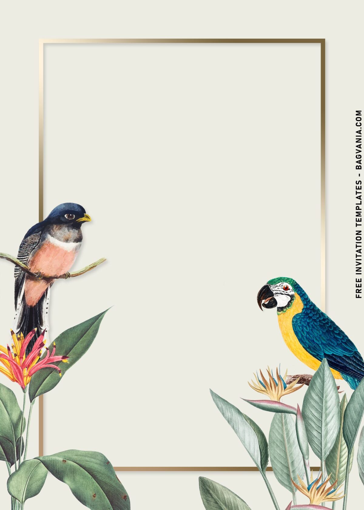 9+ Pleasant Summer Paradise Birthday Invitation Templates with macaw bird