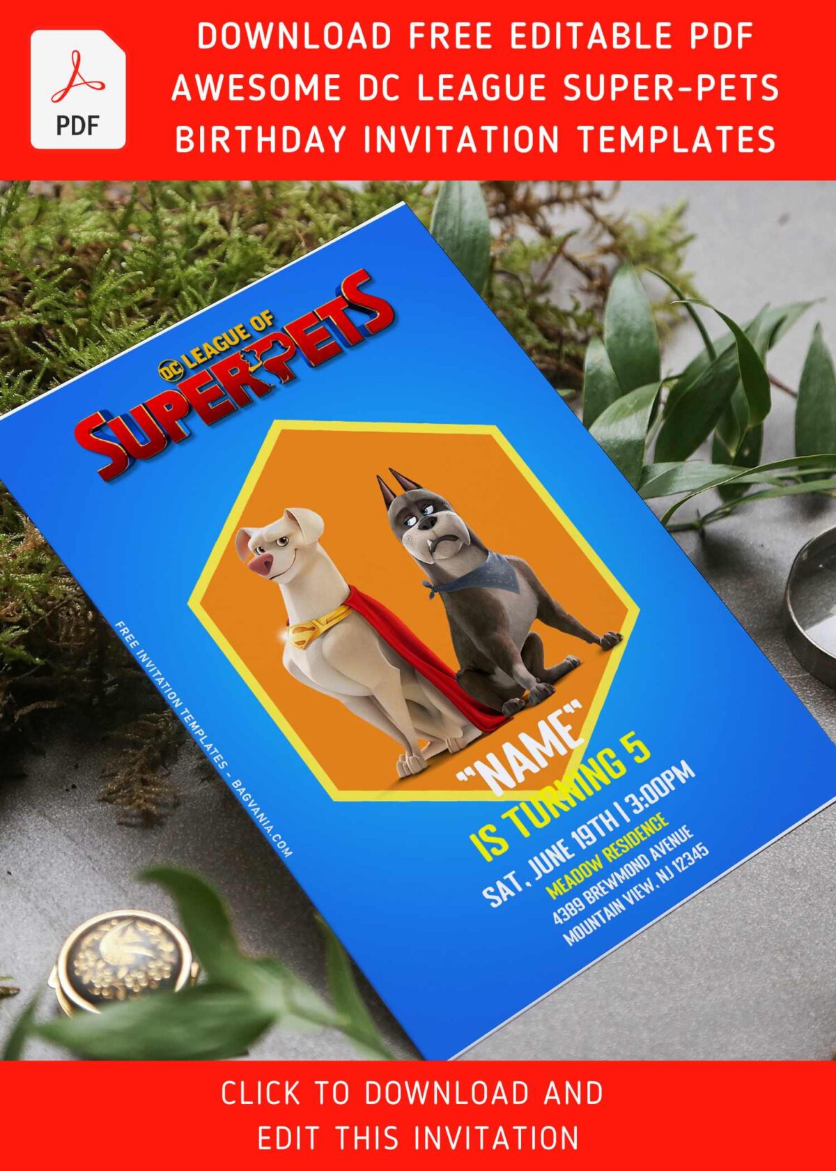 (Free Editable PDF) Awesome And Cute DC League Super Pets Birthday Invitation Templates with cute hexagon shaped text box