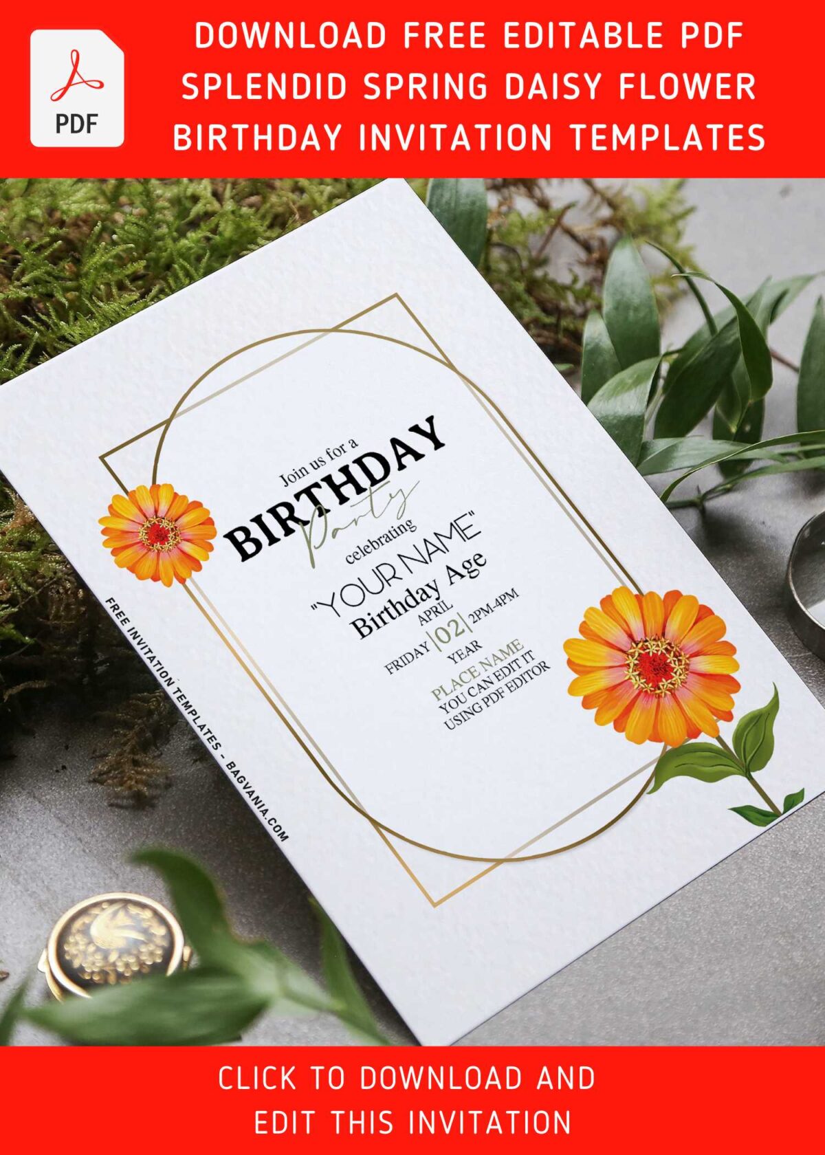 (Free Editable PDF) Splendid Spring Daisy Flowers Invitation Templates with bright and cheery Daisy