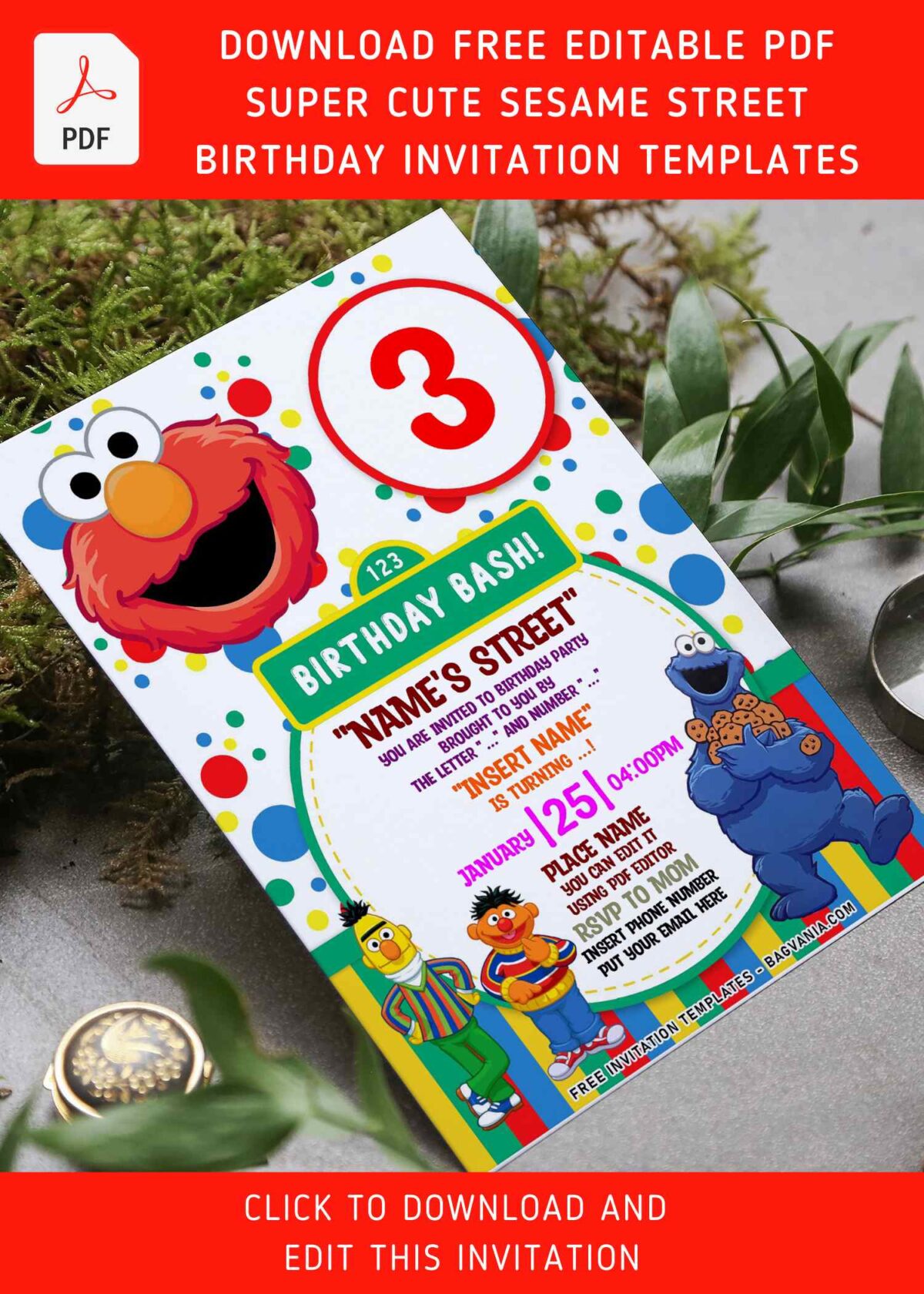 (Free Editable PDF) Super Cute Sesame Street Birthday Invitation Templates with cartoon Bert and Ernie