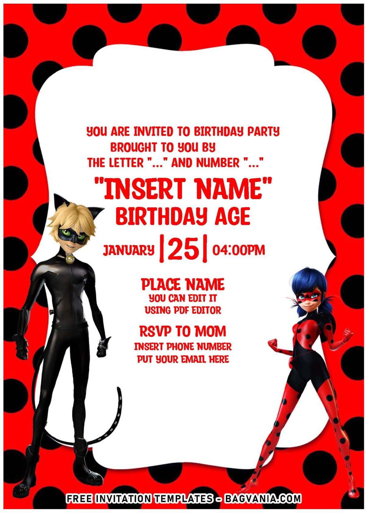 (Free Editable PDF) Super-Hero Ladybug And Cat Noir Birthday Invitation Templates with cute bracket text box