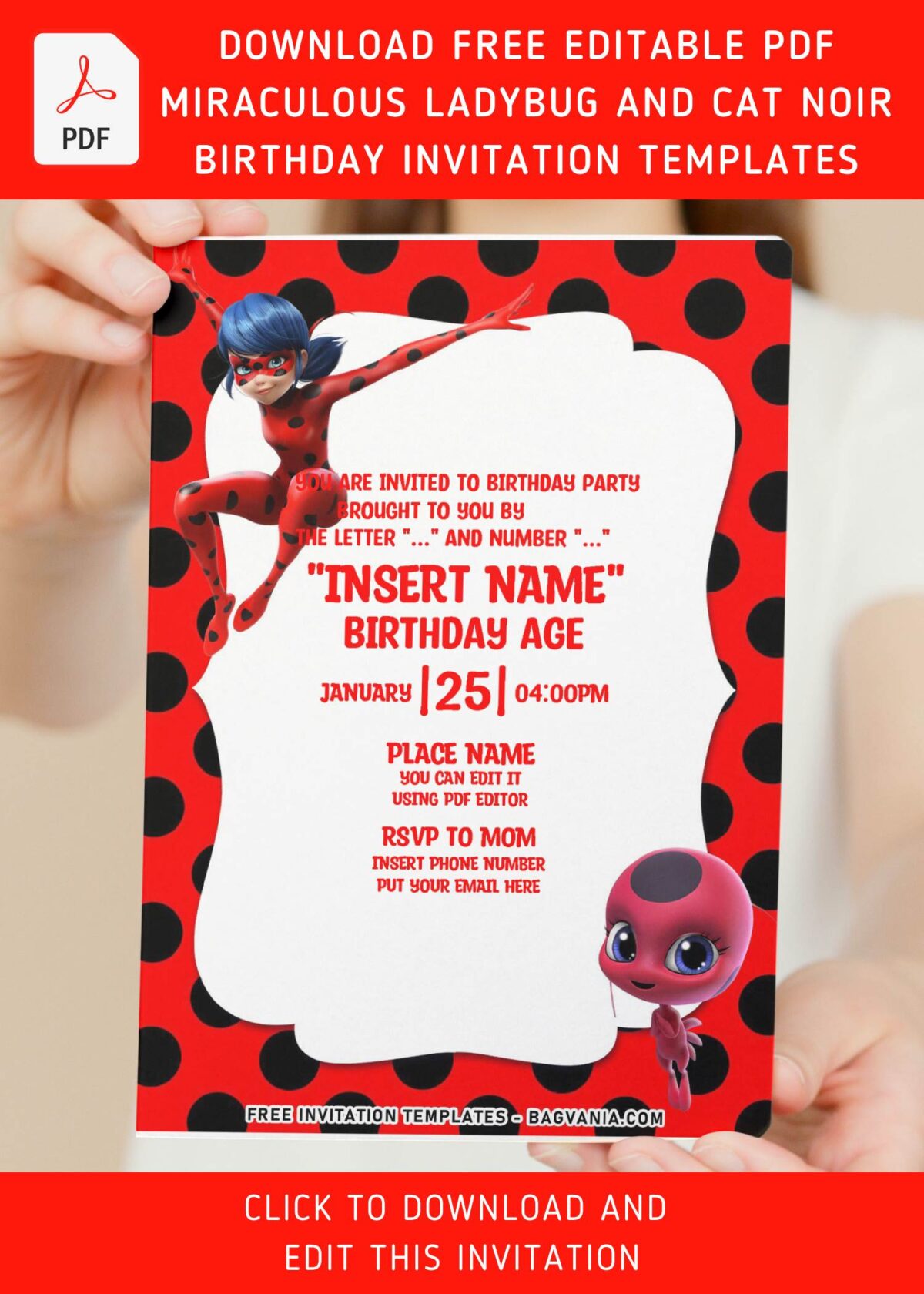 (Free Editable PDF) Super-Hero Ladybug And Cat Noir Birthday Invitation Templates with editable text