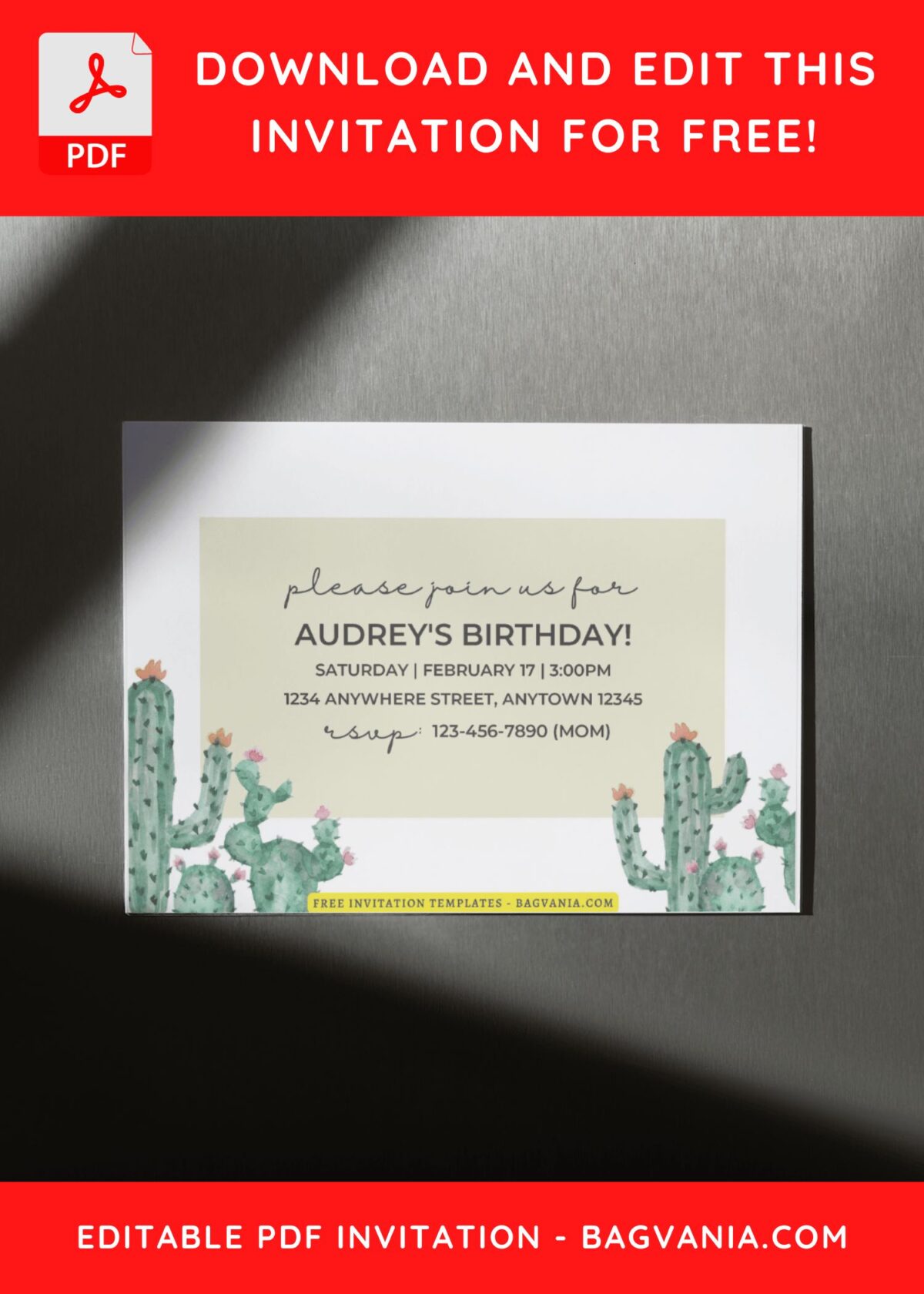 (Free Editable PDF) Chic Cactus Fiesta Birthday Invitation Templates D