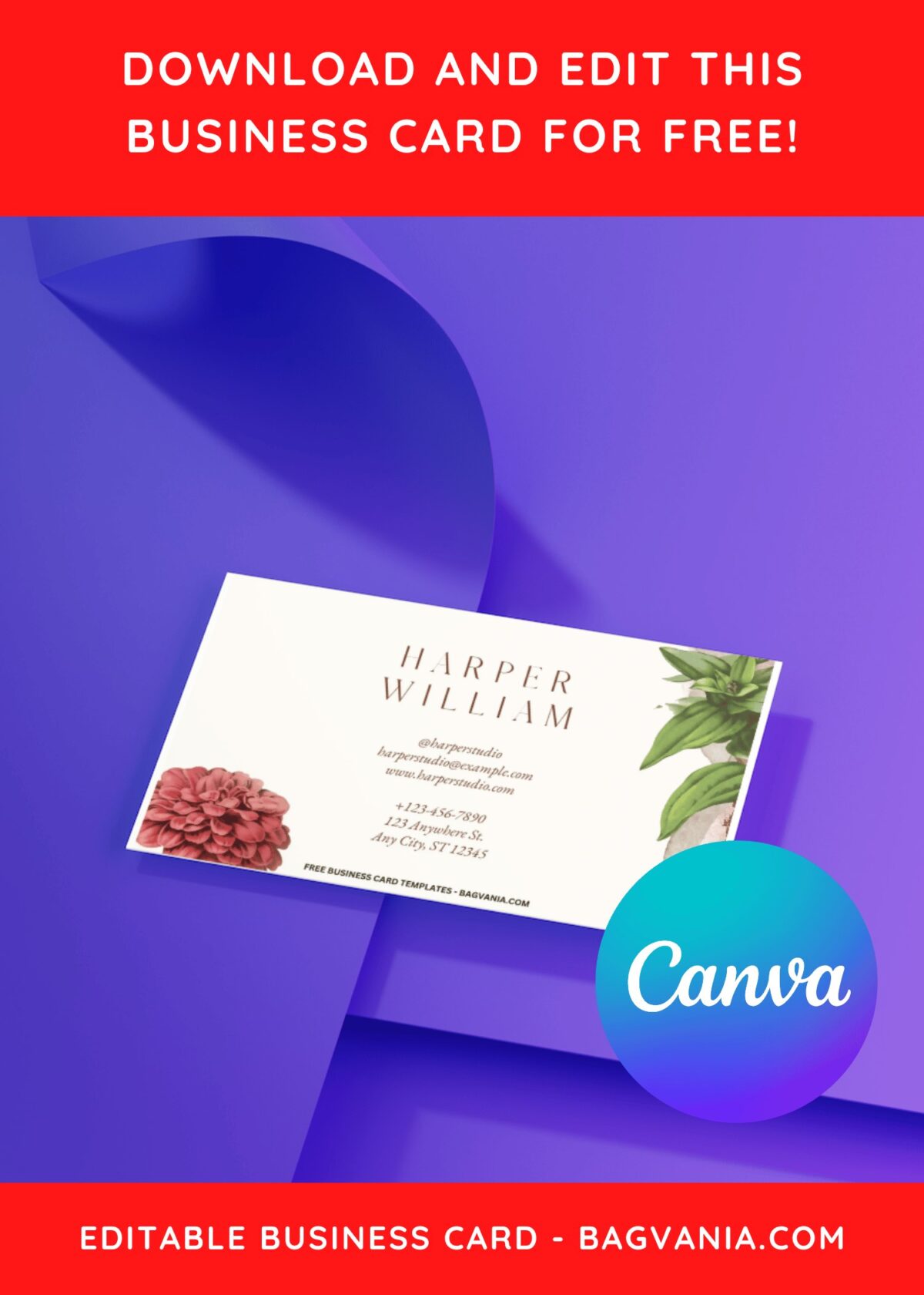 10+ Simple Floral Canva Business Card Templates I