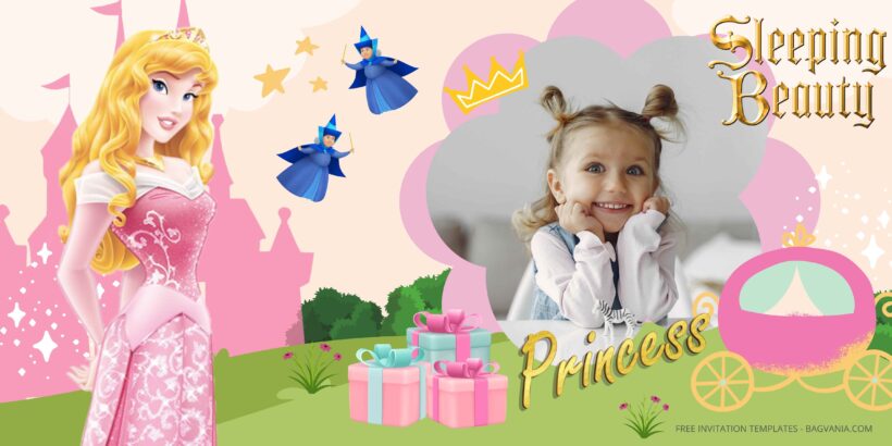 FREE Download Princess Aurora Birthday Banner