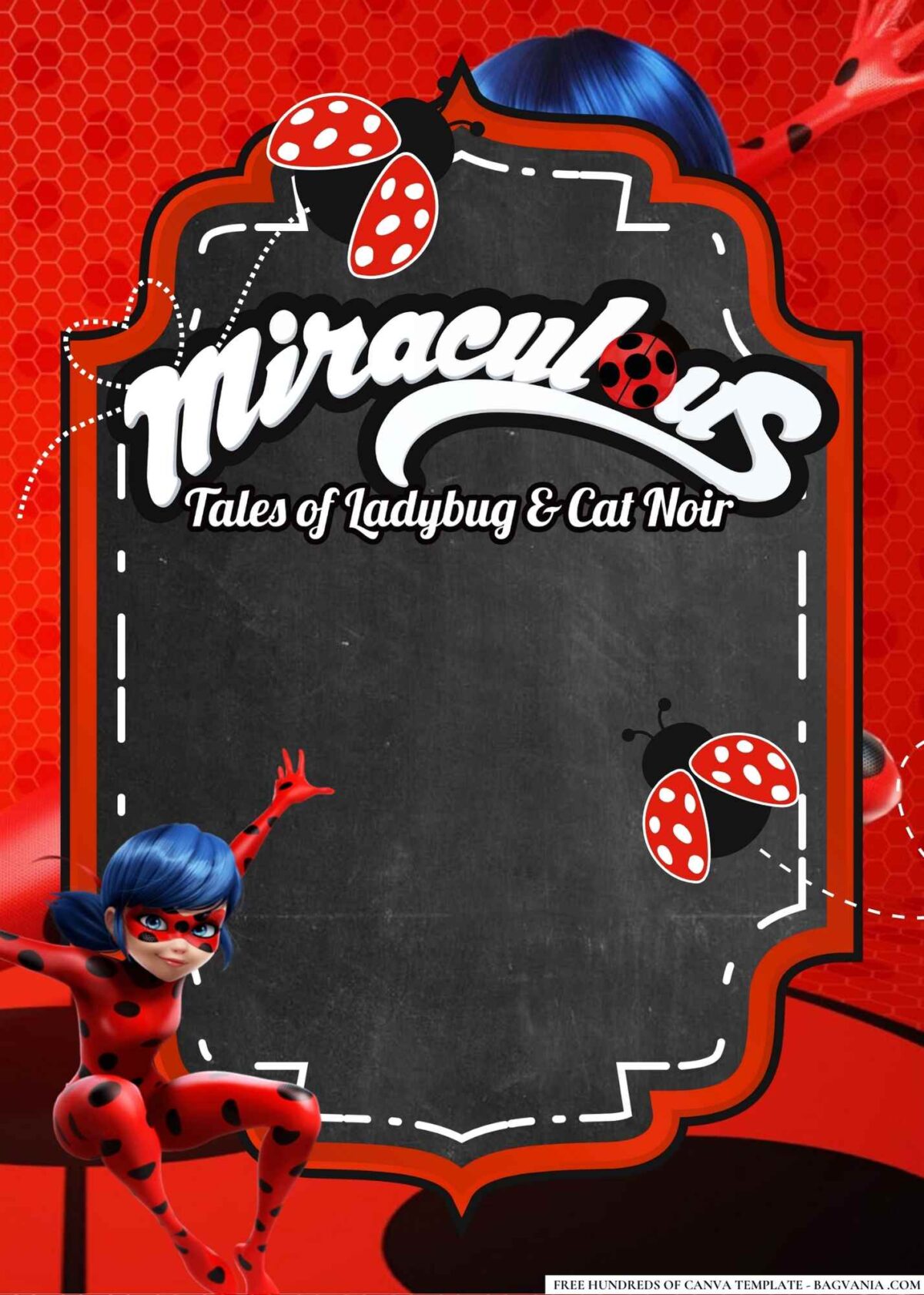 FREE Editable Tales of Ladybug & Cat Noir Birthday Invitations