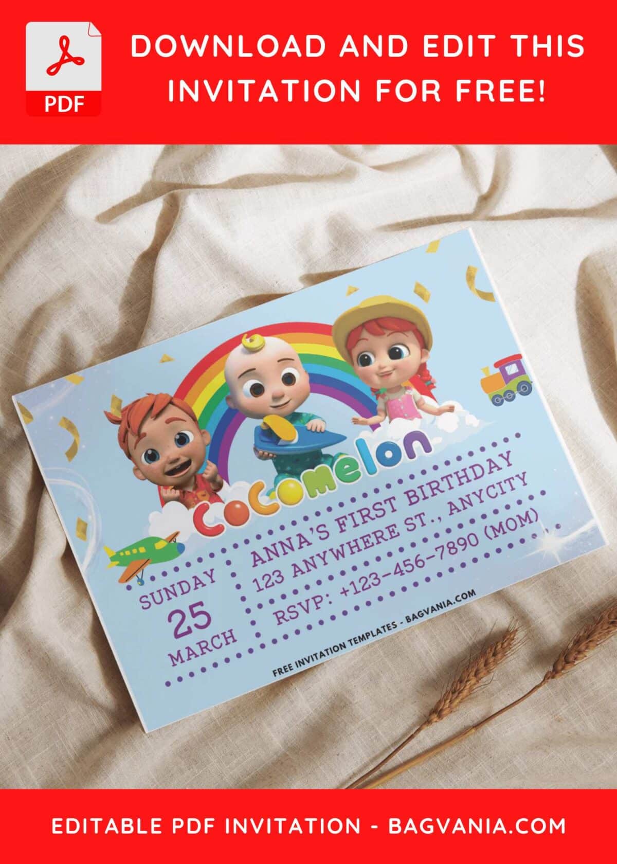 Adorable YoYo And Nico Cocomelon Birthday Invitation