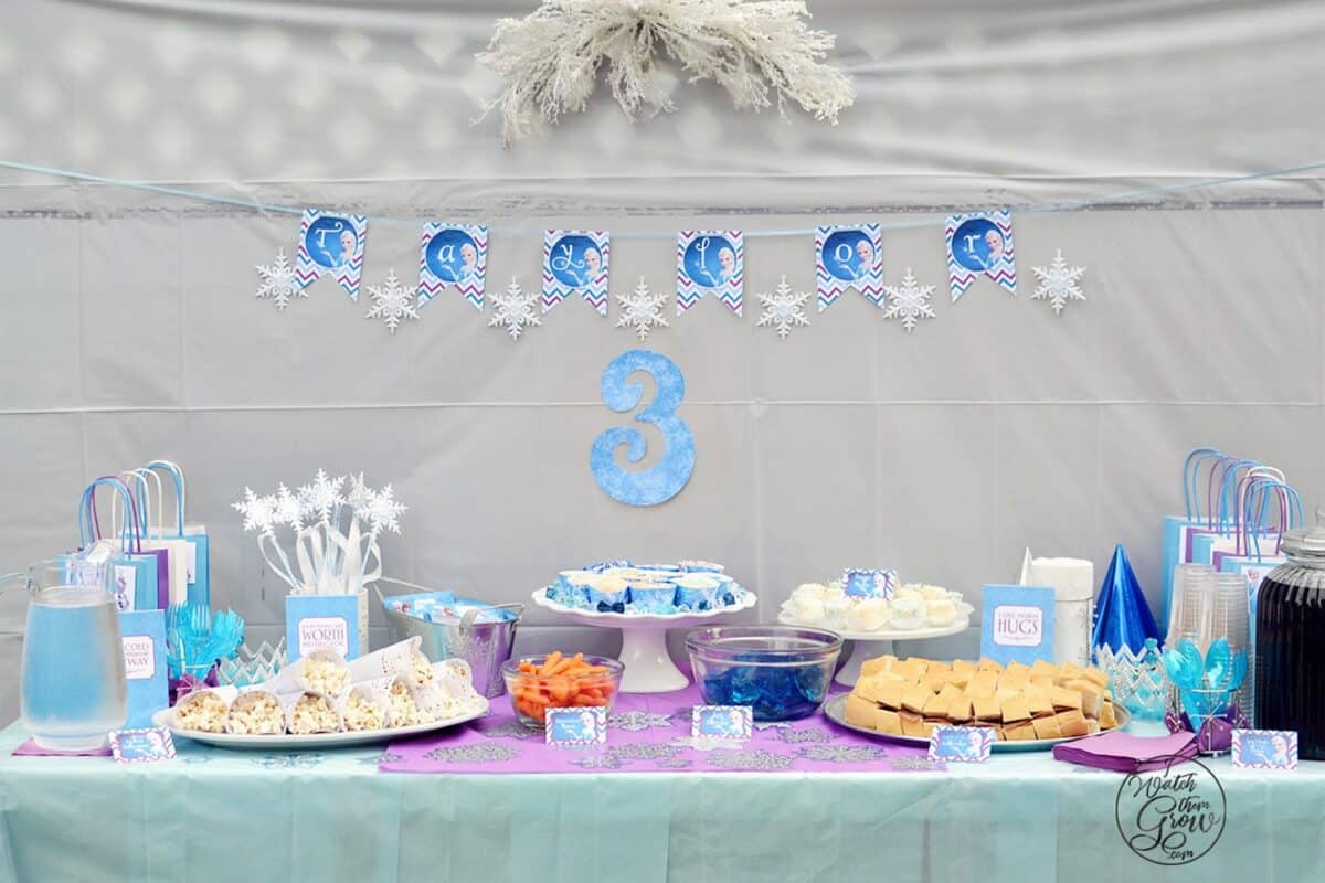 Disney Frozen Birthday Party