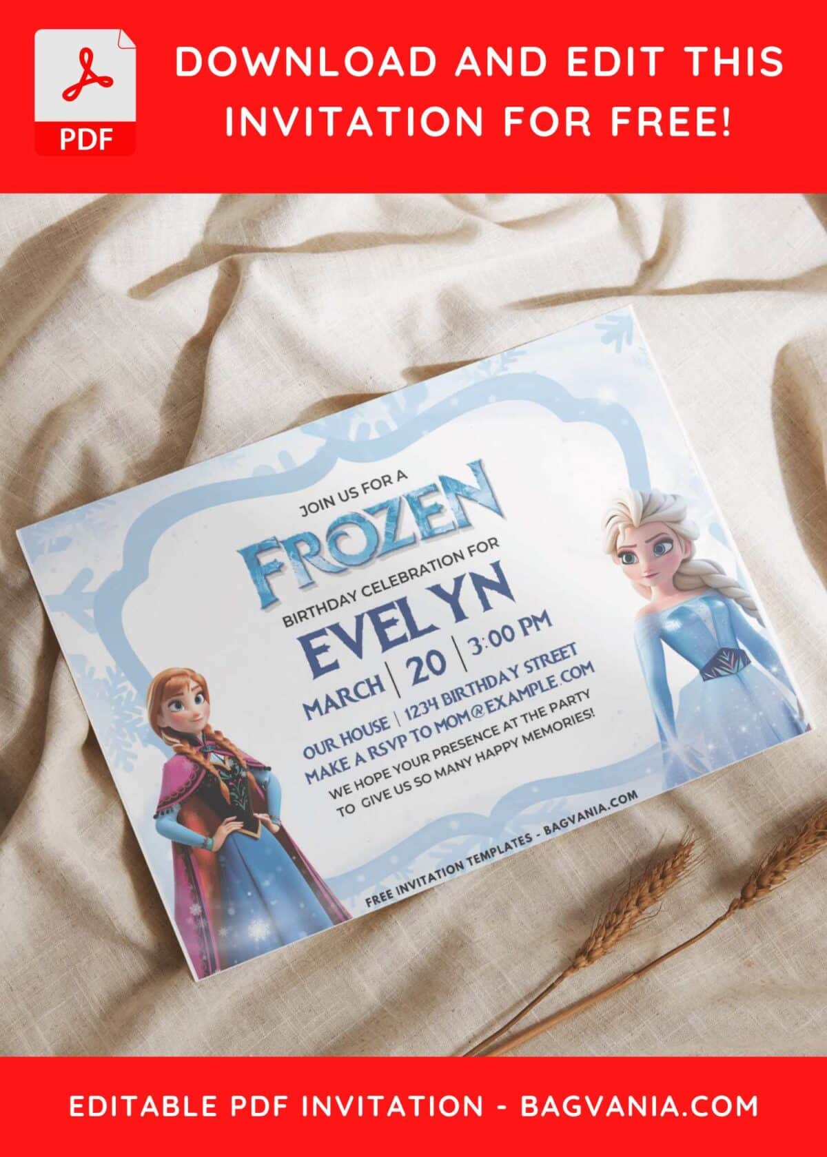 Frozen Birthday Invitation 