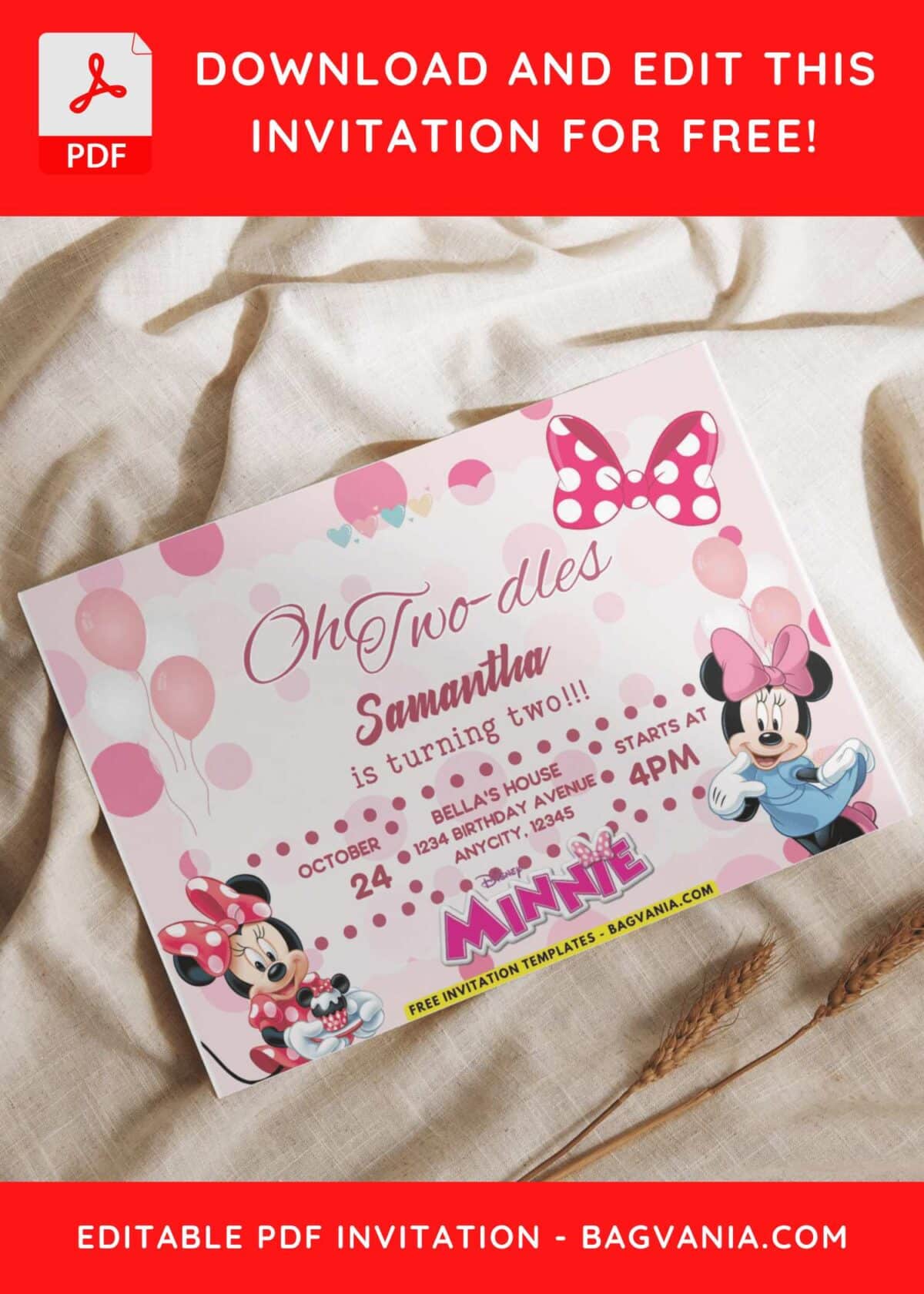 Minnie Mouse Birthday Invitation