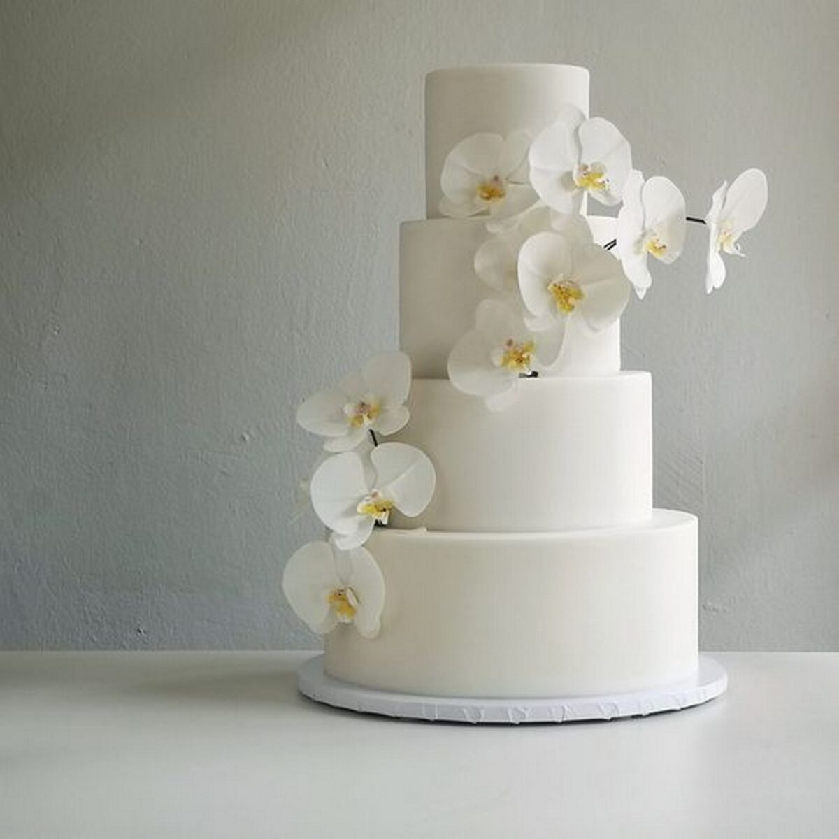 White Moth Orchid Cake