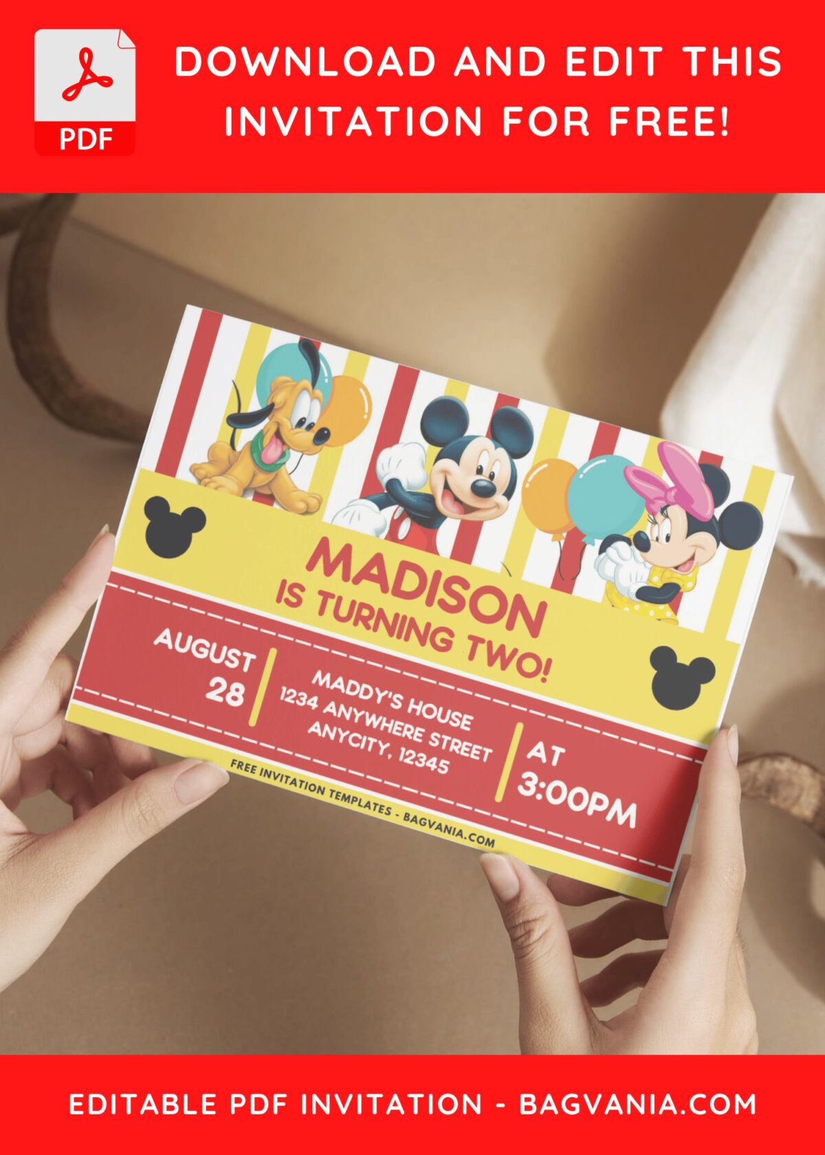 Mickey Mouse And Pluto Birthday Invitation 