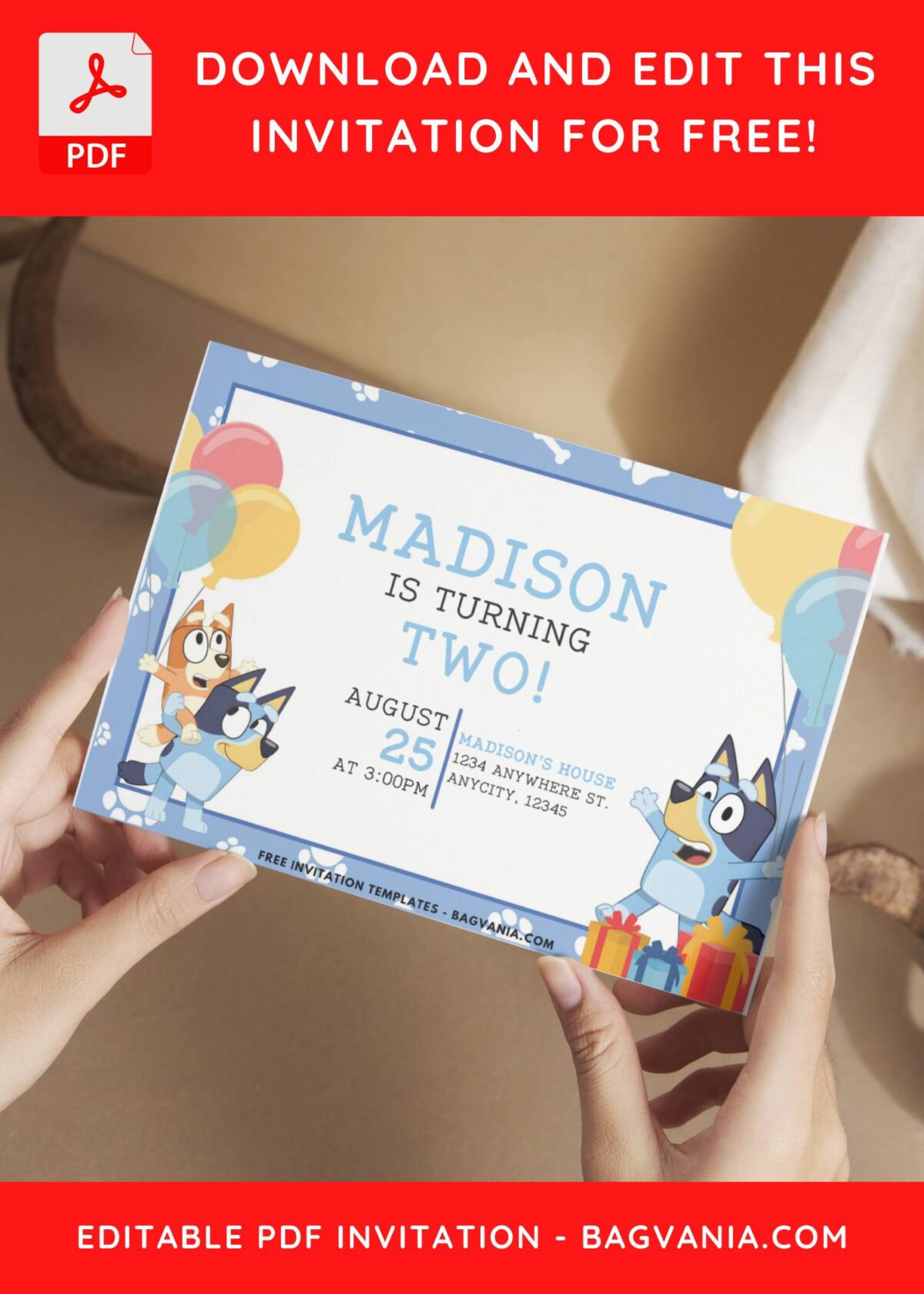 Bluey and Bingo Birthday Invitation