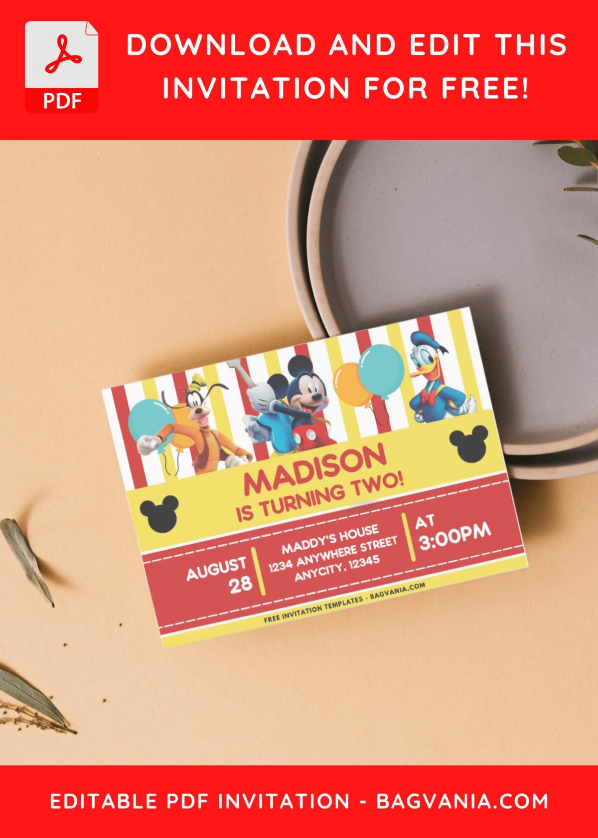 Mickey Mouse and Goofy Birthday Invitation 