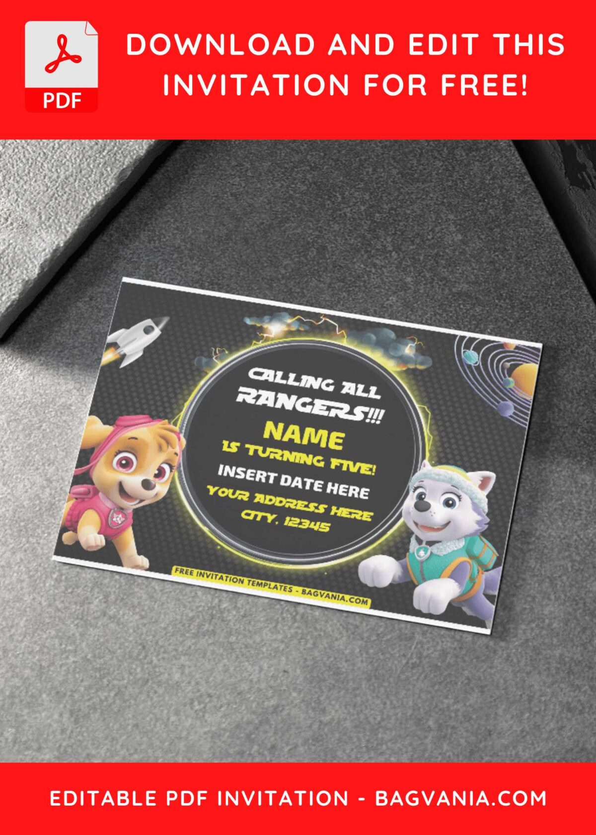 Paw Patrol Skye and Everest in Space Birthday Invitation