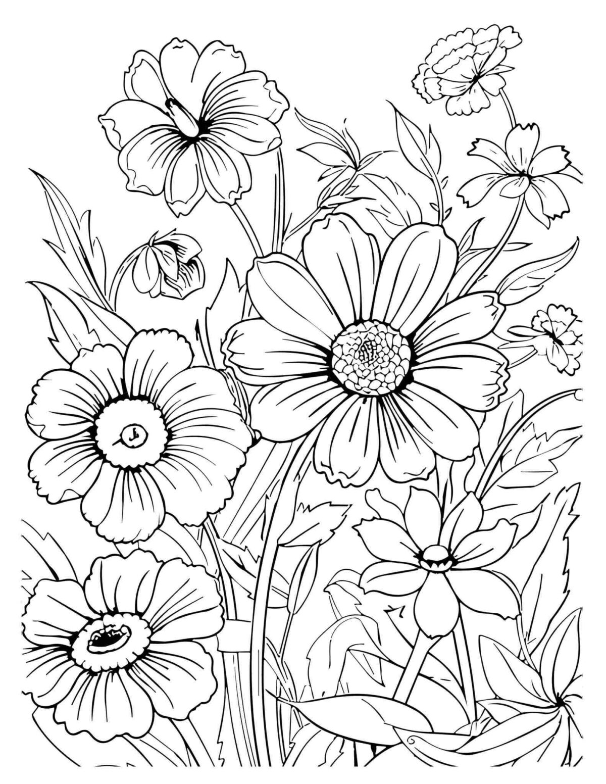 Daisy Coloring Page Templates